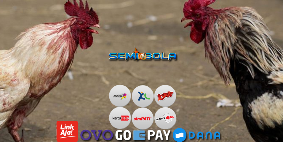 Deposit Sabung Ayam S128 Pulsa Tanpa Potongan